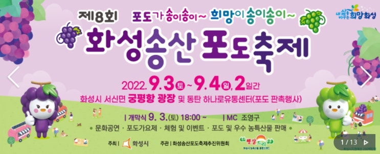  서울 근교 가을축제 가볼 만한 곳 '제8회 화성송산포도축제' 합니다.