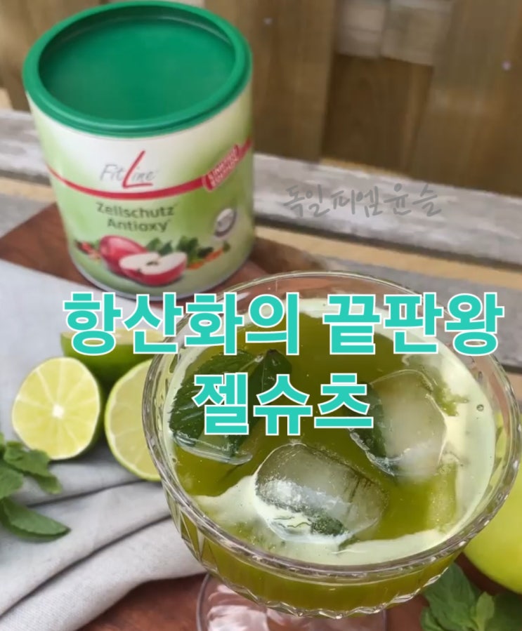  독일피엠 피트라인 젤슈츠 항산화쥬스