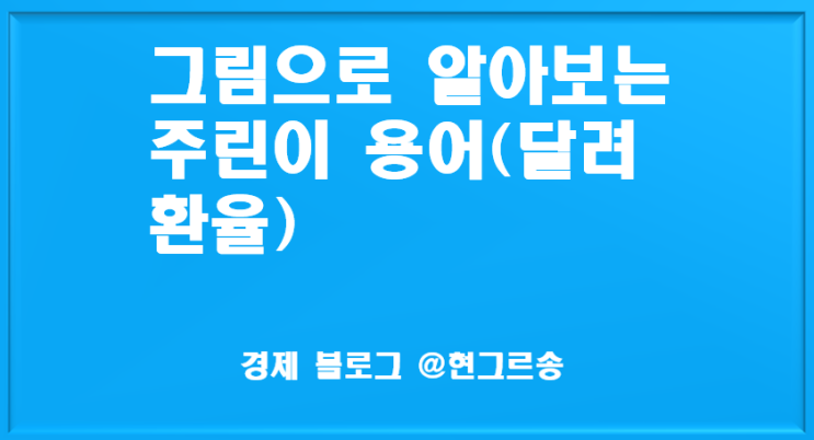  그림으로 알아보는 존버,떡상,익절,손절 뜻(달러환율)