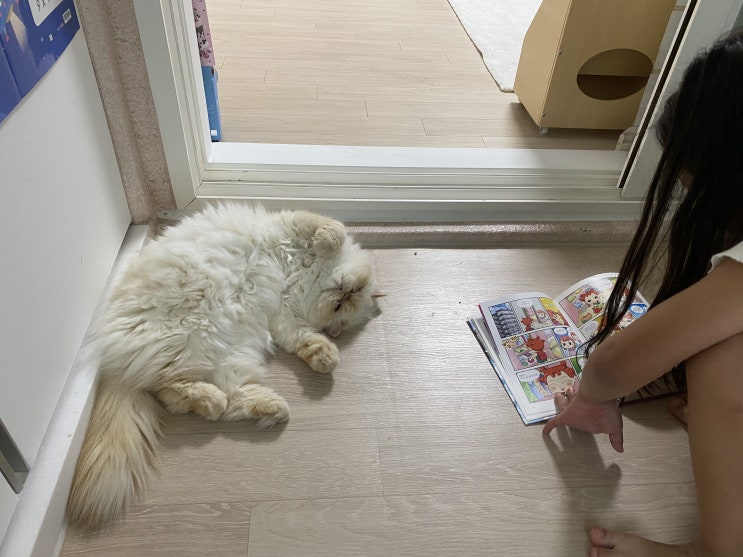  비오는 아침