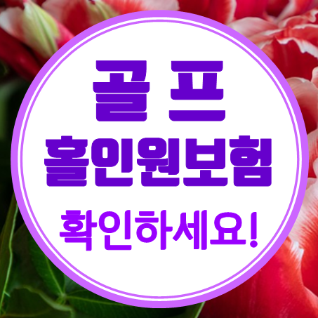  홀인원보험 가격 알뜰한 홀인원보험료 즉시 비교해 보실 수 있어요.