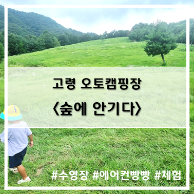  [9st 캠핑]'22. 8월 3~5일 고령 숲에안기다 A3