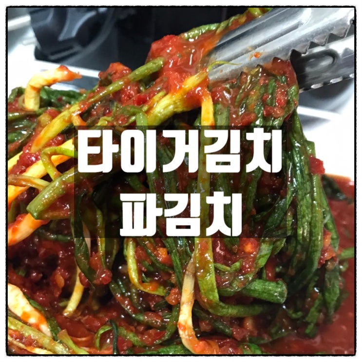 강원도 타이거김치 매콤 새콤 달콤한 파김치 김치 주문 맛 후기 강원도 타이거김치 매콤 새콤 달콤한 파김치 김치 주문 맛 후기