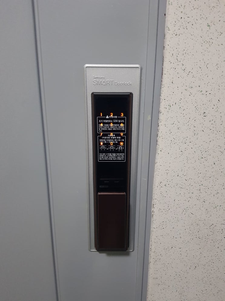  고양 일산 마두동 백마마을1단지아파트 현관 푸시풀 디지털 삼성 도어락 SHP-DP751 번호키 교체 설치 24시출장열쇠