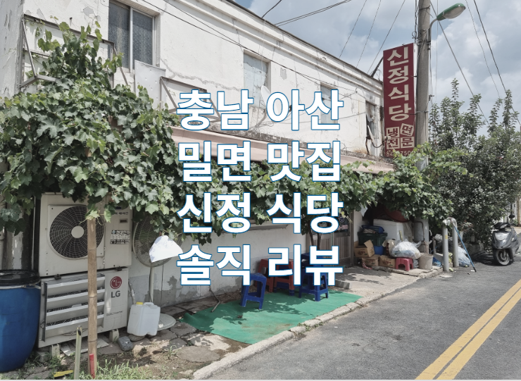 충남 아산 밀면 맛집 신정식당 리뷰 / 생활의달인 / 쯔양 / 노포 / 가볼만한곳 / 냉면