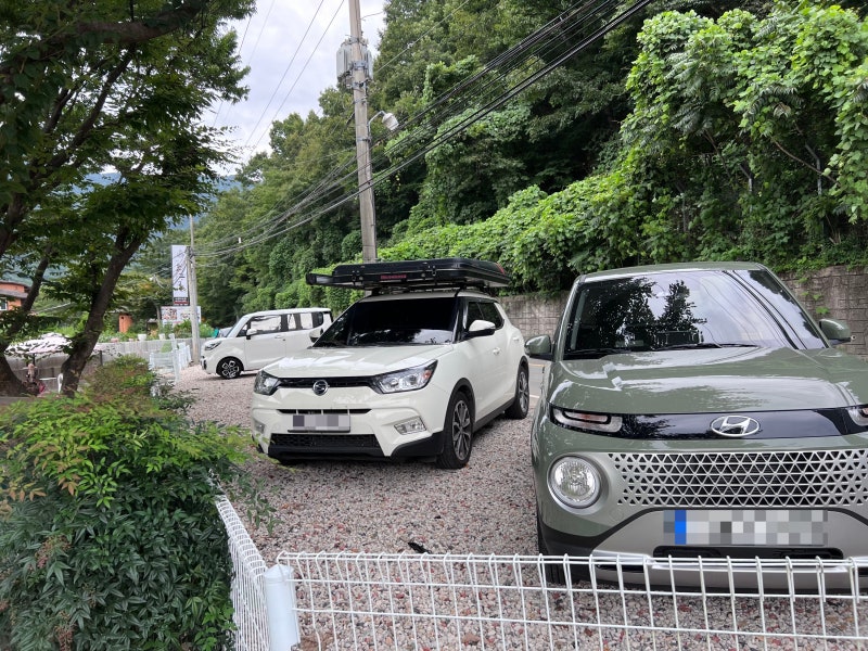 사진 3