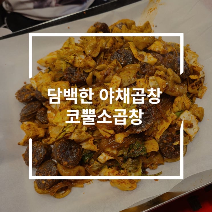  봉천곱창 기름사용없이 맛있는 야채곱창 코뿔소곱창