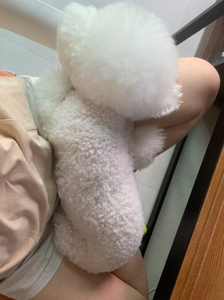 2022.08.31 18:15 현재 모습 2022.08.31 18:15 현재 모습