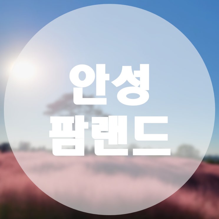 [국내/안성] 핑크 뮬리 인생 샷 맛집 안성 팜랜드