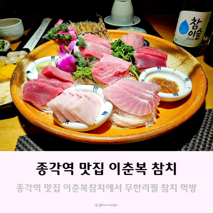 종각역 맛집 이춘복 참치에서 참치 무한리필에 술한잔 솔직후기