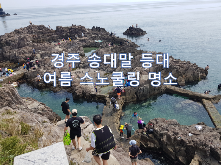  경주 송대말 등대 - 스노쿨링 명소, 주차장 및 필수품까지(feat.잠영천재)
