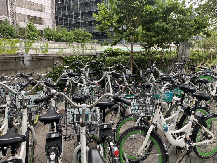 서울시 자전거 따릉이 더 저렴하게 이용하는 방법 공유