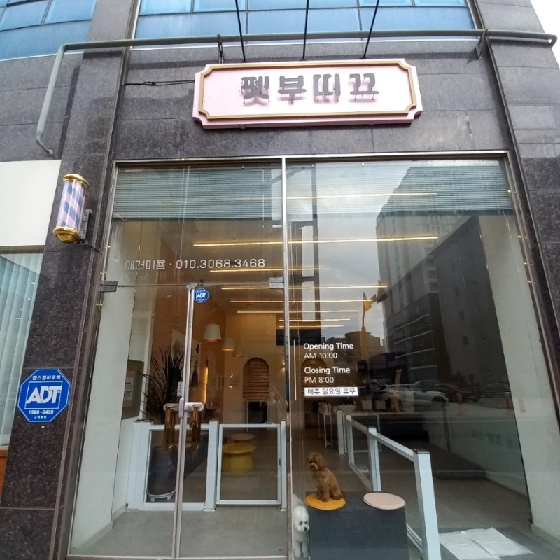 사진 5