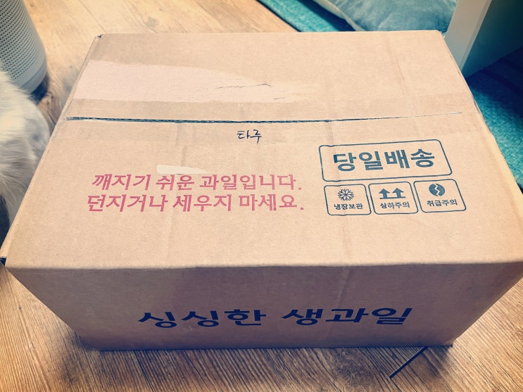 보투아몽드 고당도 하우스 프리미엄 거봉 포도. 오랜만에 거봉! 먹다 보니 점심 식사가 되어버렸다ㅋ 보투아몽드 고당도 하우스 프리미엄 거봉 포도. 오랜만에 거봉! 먹다 보니 점심 식사가 되어버렸다ㅋ