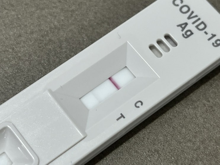  [블챌] 코로나 주간,,,,, ️