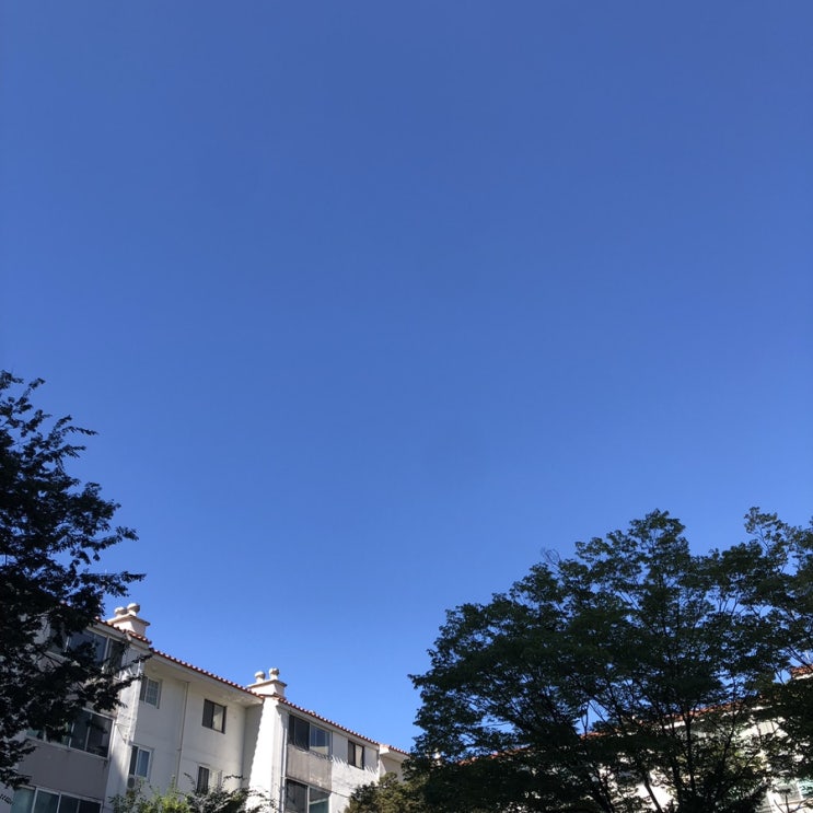  8월 마지막 방방찌니의 주간일기 