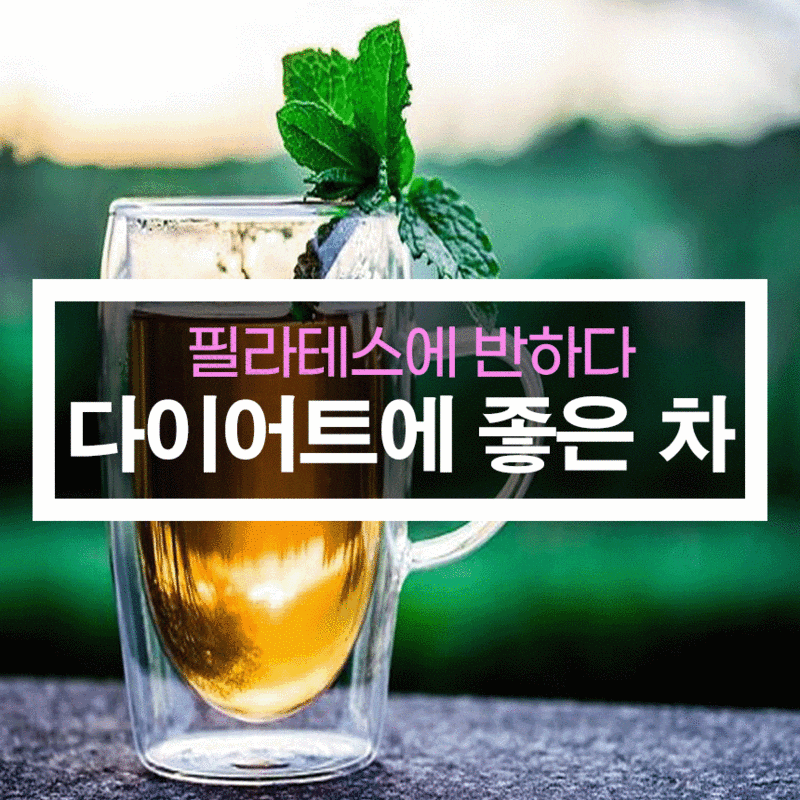 메이크업필라테스_신정점[다이어트에 좋은 차]