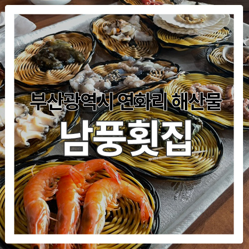  [부산 해산물] 연화리 해녀촌에 위치한 "남풍 횟집"