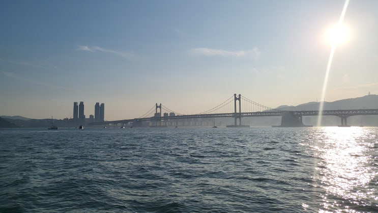  해운대 요트투어: 더베이101에서  피쉬앤칩스 먹고 요트투어 하기