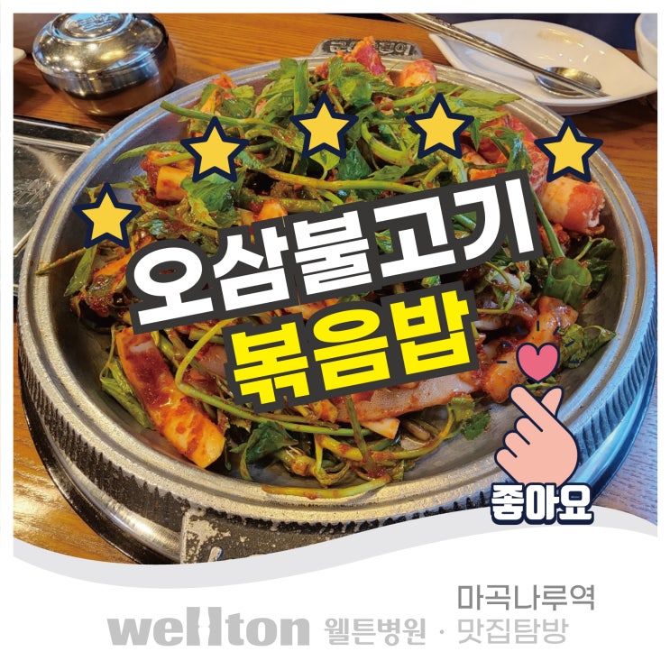  마곡나루역 점심맛집 군산오징어의 오삼불고기 볶음밥 추천
