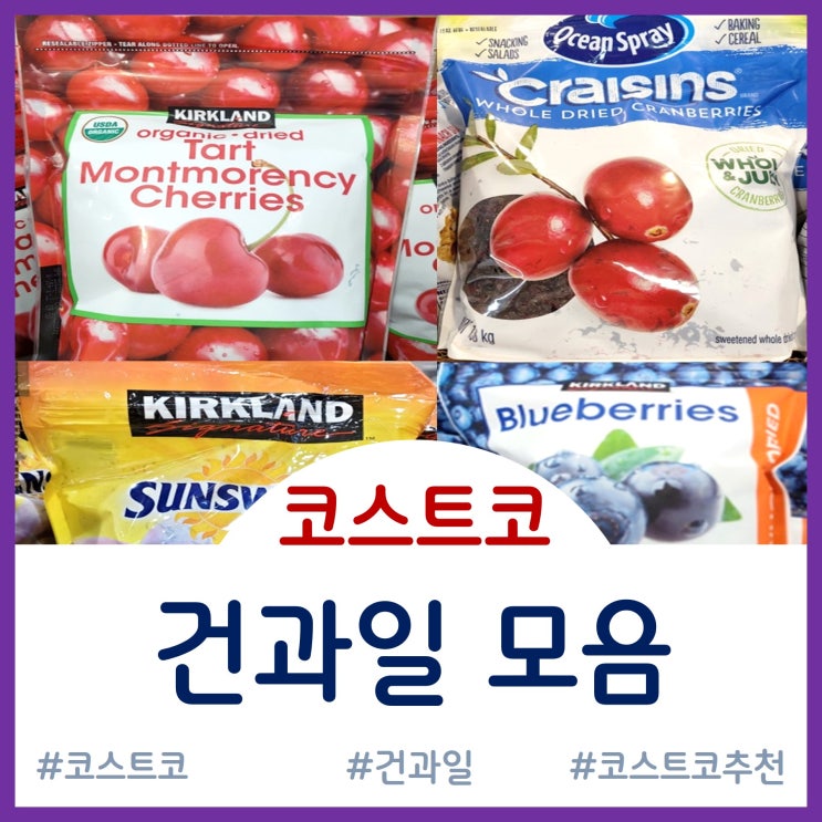  코스트코 건과일 모음 - 건자두, 건크랜베리, 건체리, 건블루베리 등