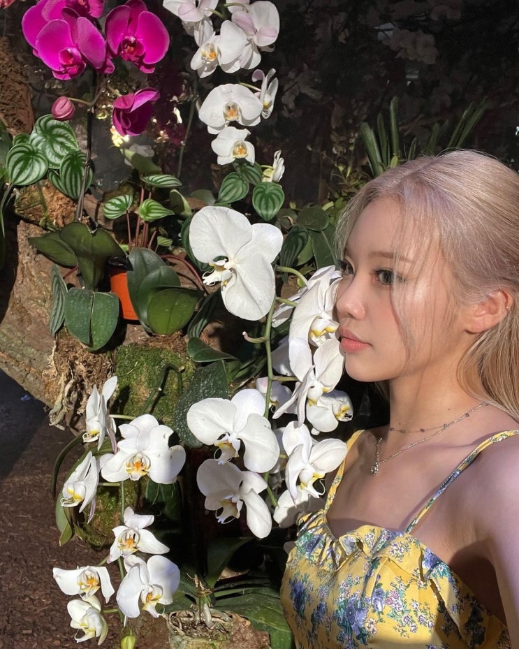 '두 번째 세계' 모모랜드 주이, 3년간 학폭과 인성 루머에 속상했던 마음 고생을 대변 "톡톡톡 소녀" '두 번째 세계' 모모랜드 주이, 3년간 학폭과 인성 루머에 속상했던 마음 고생을 대변 "톡톡톡 소녀"
