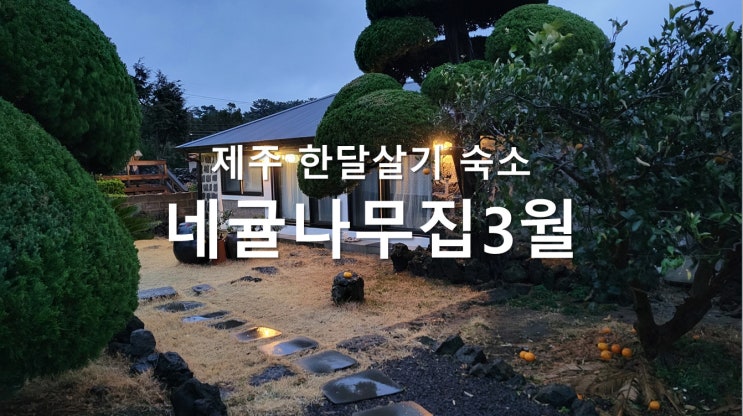 제주 돌집 숙소, 네귤나무집 - 2022년 3월