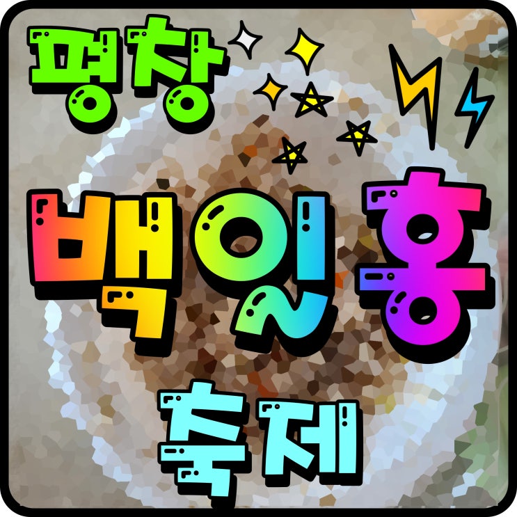 평창 백일홍축제 강원도 가을여행 핑크뮬리 아름다움을 즐겨보자