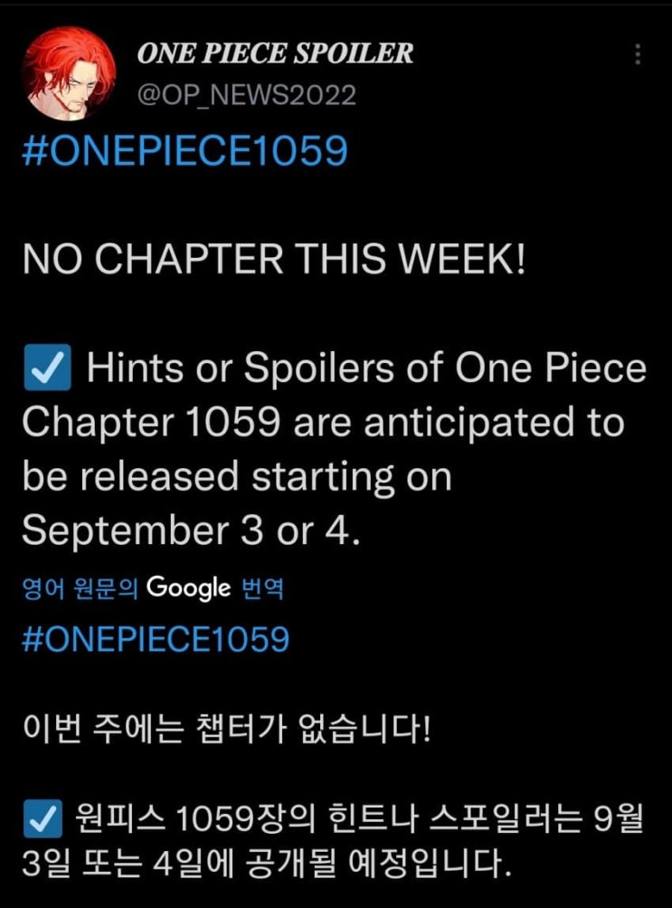원피스 1059화 휴재 스포 일정 대비보 원피스의 정체 예측글 원피스 1059화 휴재 스포 일정 대비보 원피스의 정체 예측글