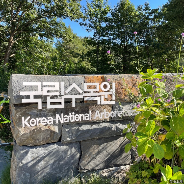  포천 국립수목원 주말 당일 예약 성공했어요!
