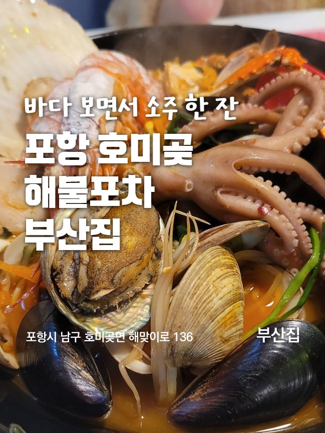  포항 호미곶 맛집 포장마차 부산집 강력 추천