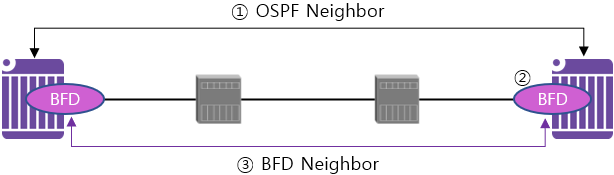 [OSPF] BFD(Bidirectional Forwarding Detection)