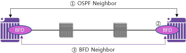  [OSPF] BFD(Bidirectional Forwarding Detection)