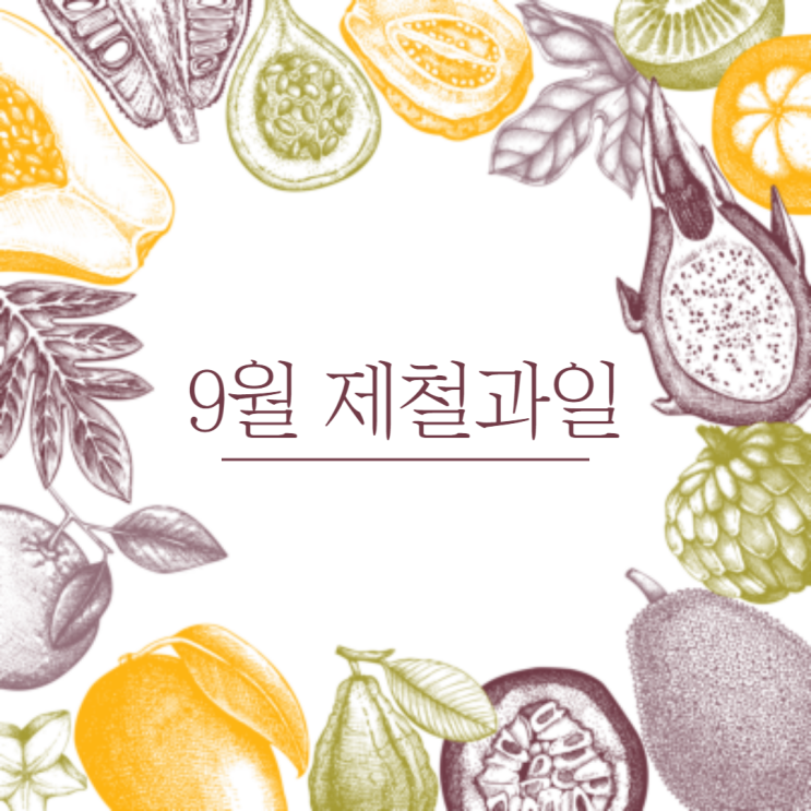 9월 과일, 가을 제철 과일 종류 (옥수수, 귤, 블루베리, 토마토, 석류, 배) 효능 총정리