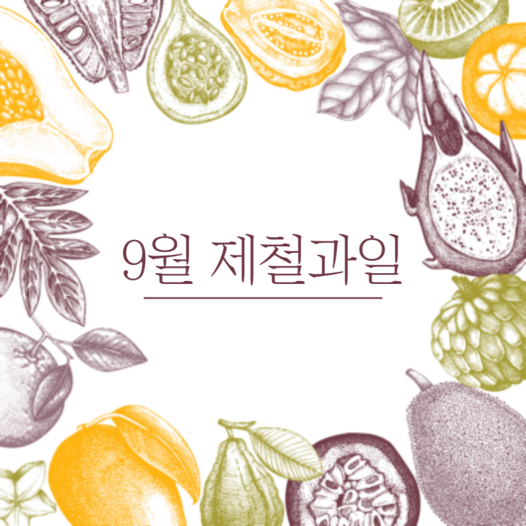  9월 과일, 가을 제철 과일 종류 (옥수수, 귤, 블루베리, 토마토, 석류, 배) 효능 총정리
