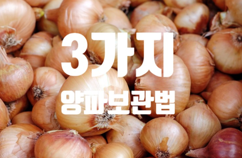  양파보관방법 3가지 실온보관 냉장보관 냉동보관