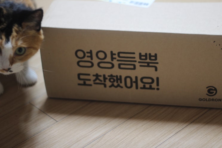  N번째 구매템 고양이트릿 동결건조간식 최애템
