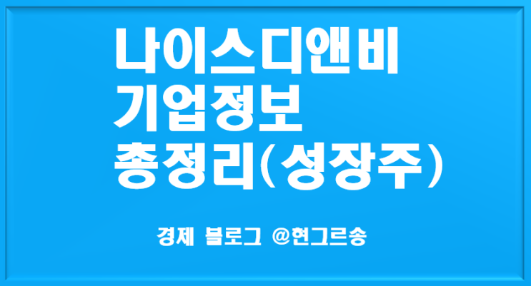  나이스 디앤비 기업정보 총정리(성장주)