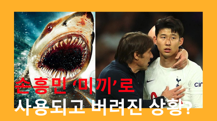  득점왕 손흥민