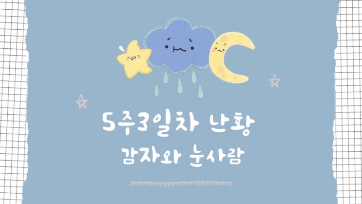  [난임일기 #18] 감자와 눈사람 시험관 시술 - 4주 3일차~증상 기록 & 5주 3일차 난황 보고 옴!