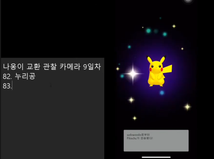  특별한 나옹이를 15일 동안 랜덤교환하면 생기는 일 - 9일차