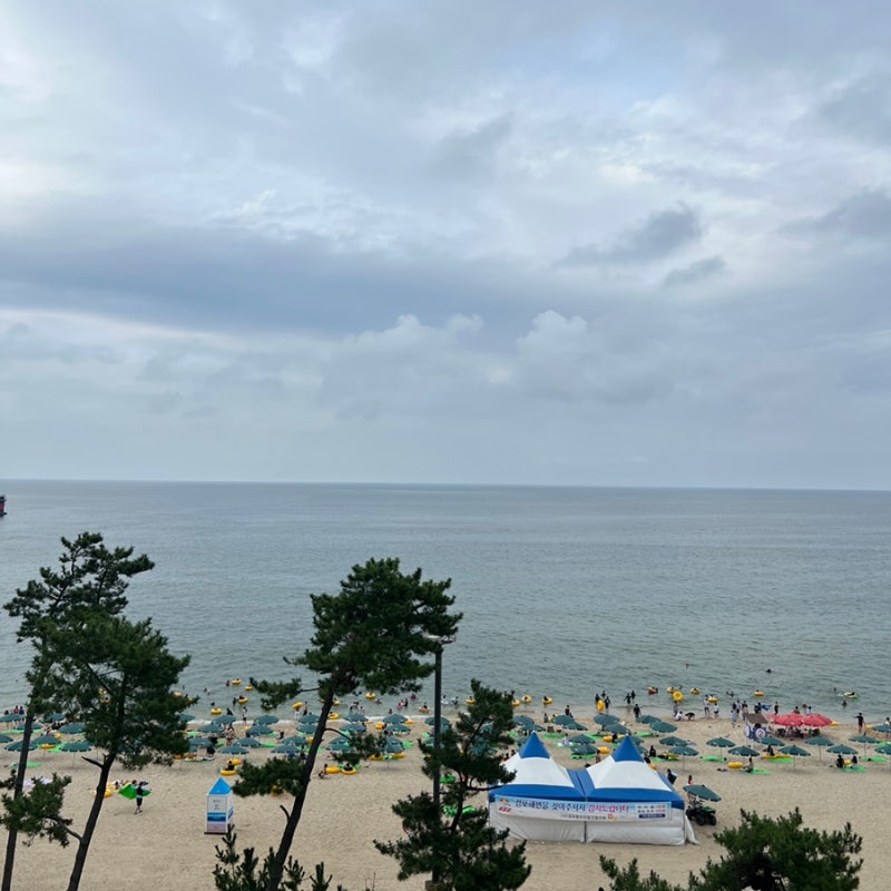 강릉 경포대 호텔 주노 경포해수욕장 오션뷰 숙소