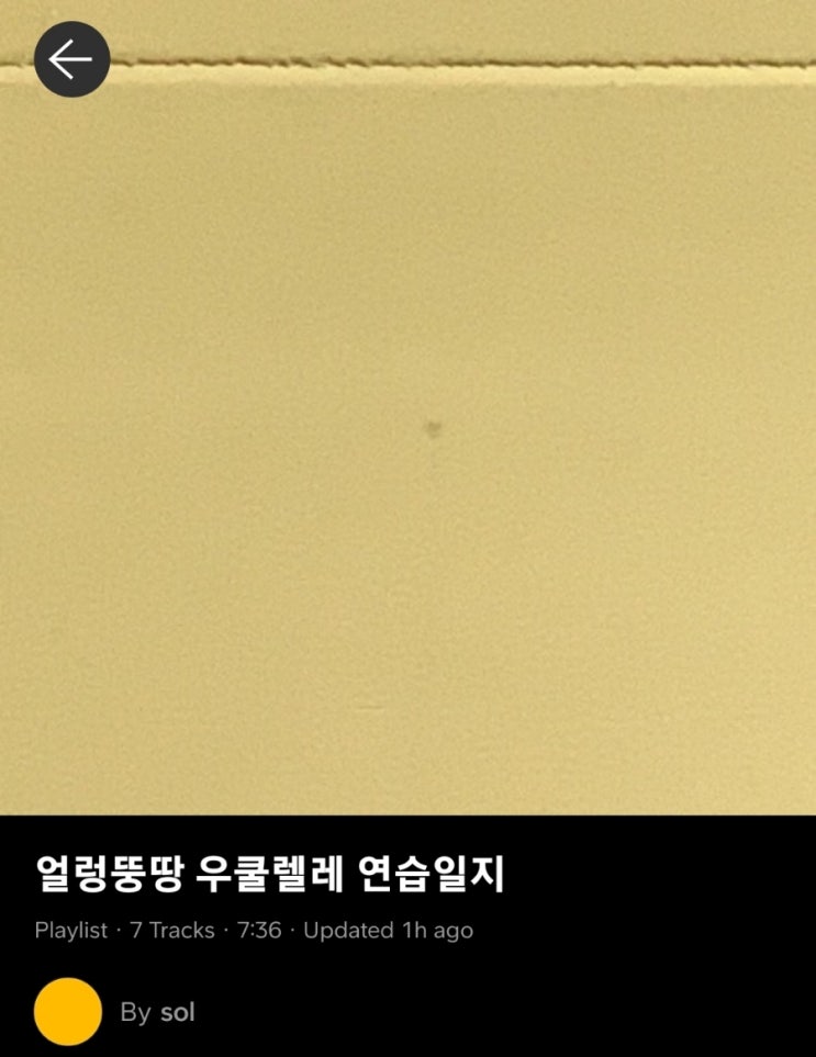 얼렁뚱땅 우쿨렐레 연습일지