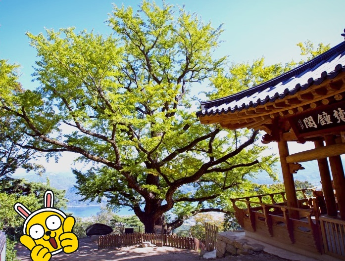 남양주 수종사 / 운길산 / 해돋이 명소 / 해맞이 명소 / 서울근교등산코스 / 남양주가볼만한곳 / 남양주글램핑 / 남양주클럽 ...