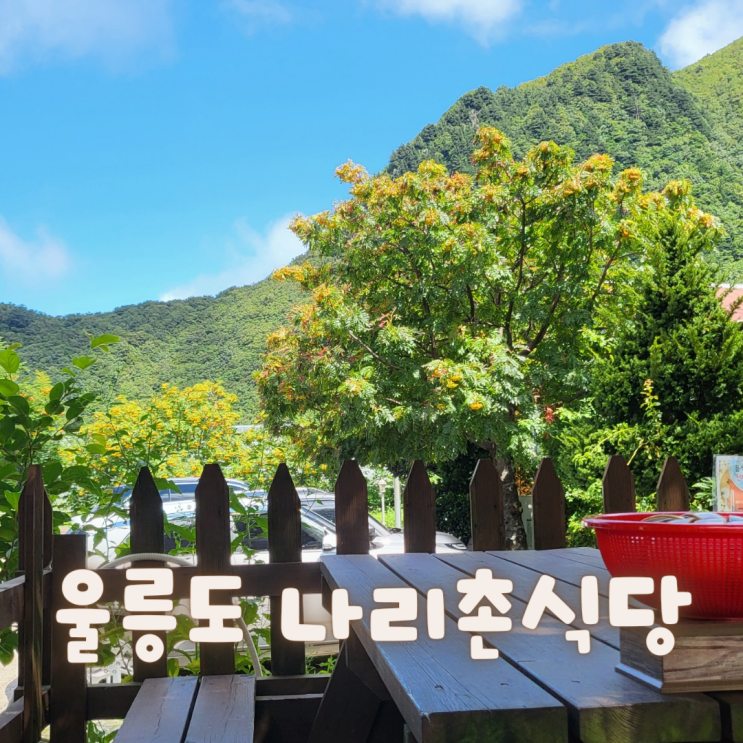  [울릉도] 나리분지 나리촌식당 울릉도산나물 담백하게 맛보기