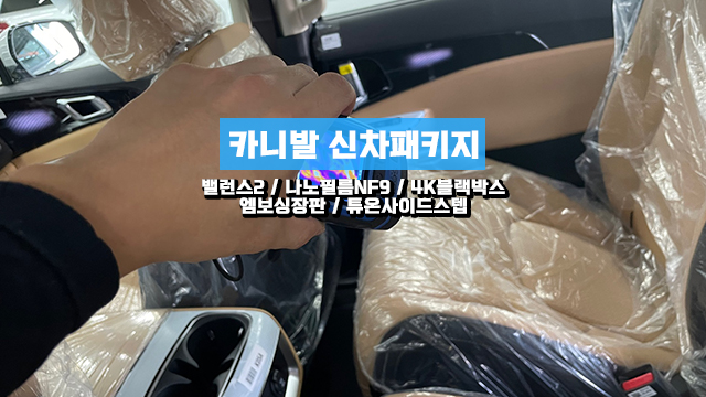  카니발 신차패키지 신형 엠보싱장판과 튜온 사이드스텝 완벽 장착!