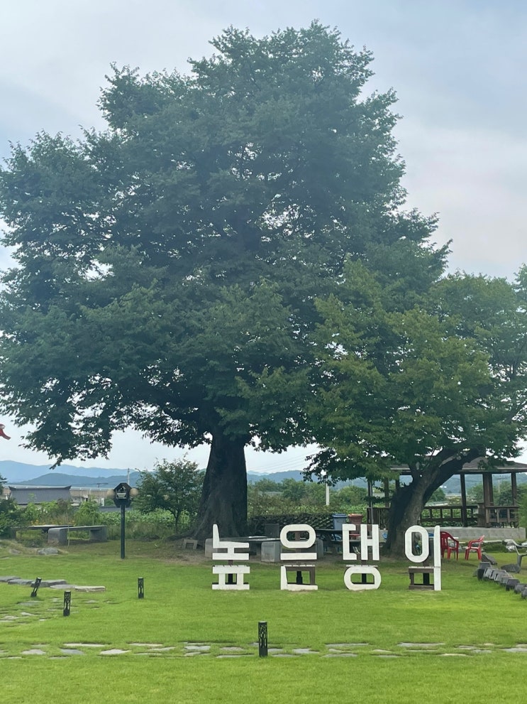 부여 한옥카페 높은댕이, 브런치 맛집 부여 한옥카페 높은댕이, 브런치 맛집