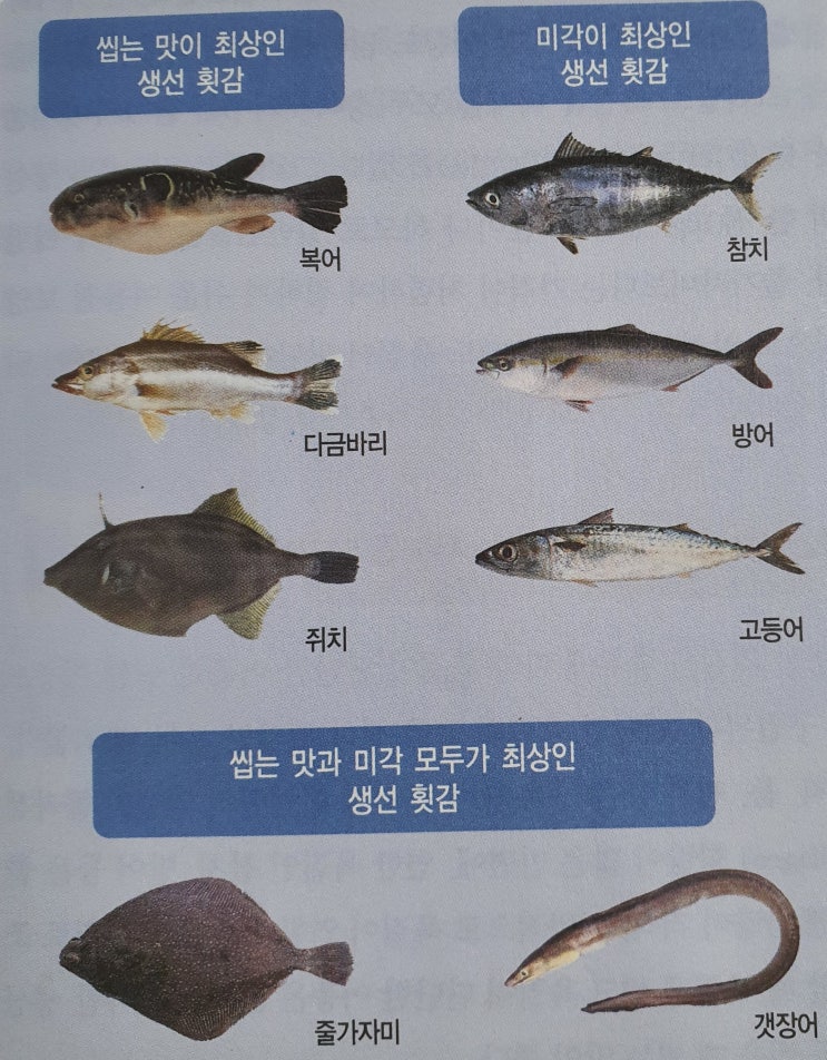 생선회 좋아하시는 분  많으시죠.. 계절별 생선 횟감  알아 볼 께요.