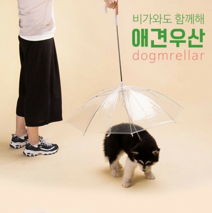  강아지산책우산 개우산 멍뭉레인코트 우비 강아지용 닥스훈트 푸들 말티즈