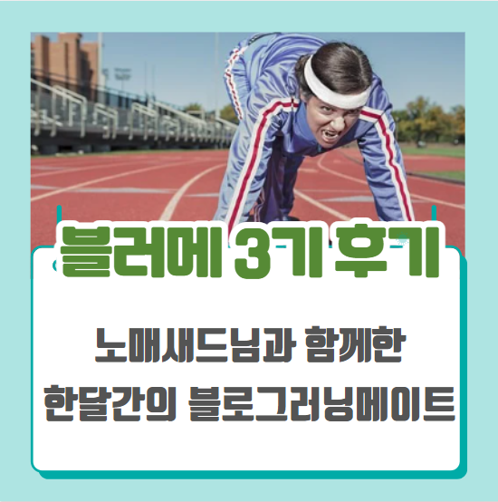  빨리가려면 혼자가고 멀리가려면 함께가라! - 노매새드님과 함께한 블러메3기 후기